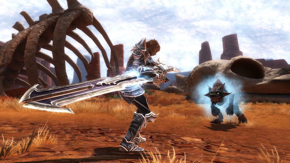 Capture de Kingdoms of Amalur: Reckoning