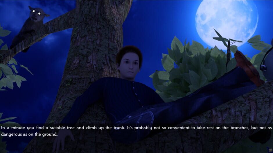 Capture de Wild Island Quest
