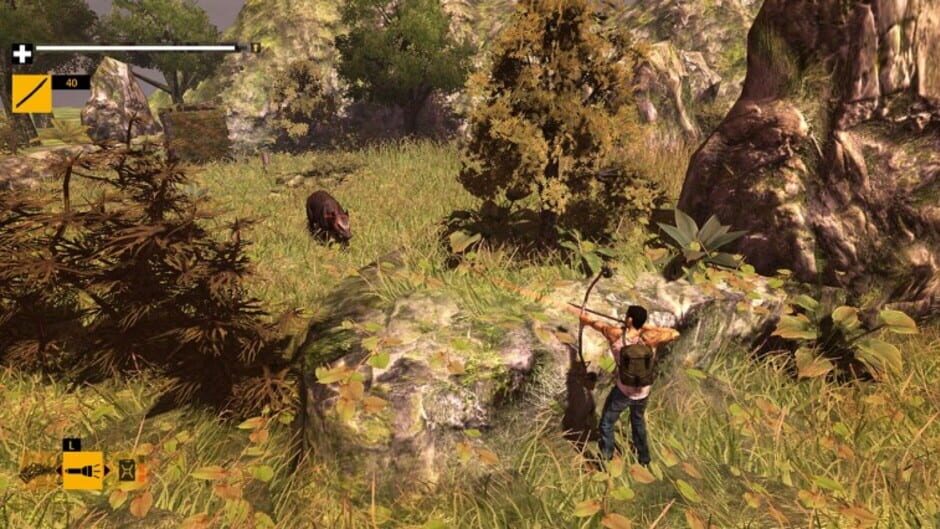 Capture de How to Survive