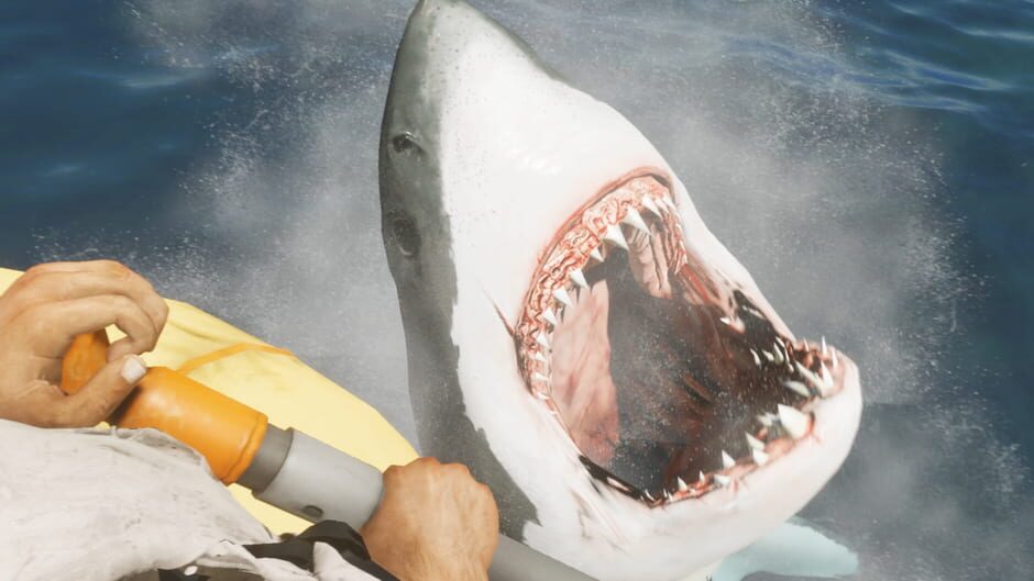 Capture de Stranded Deep